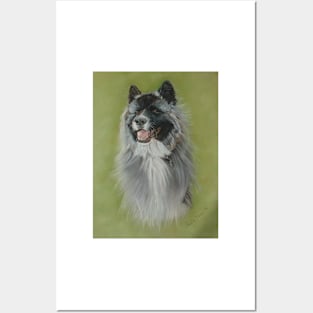 Long coat black face silver gray akita Posters and Art